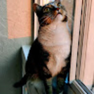 Meet your Posher, Sandra